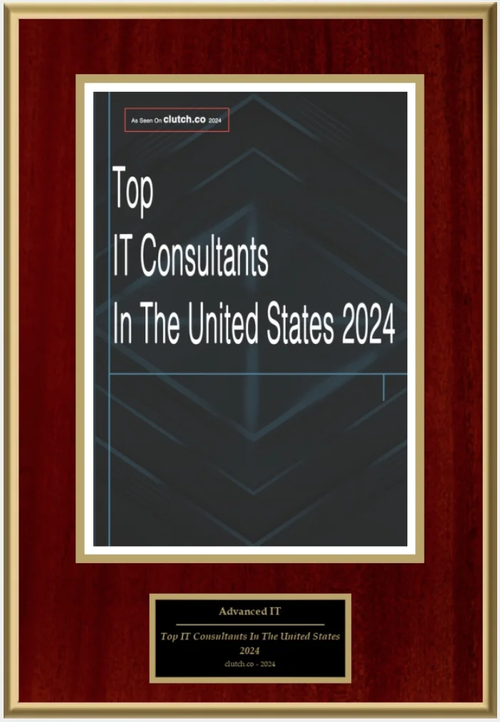 Top_IT_Consultants_In_The_US_2024